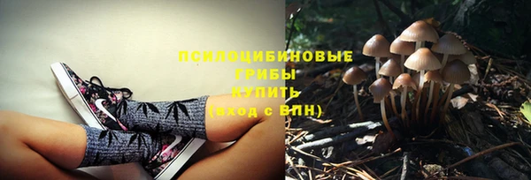 ПСИЛОЦИБИНОВЫЕ ГРИБЫ Нея