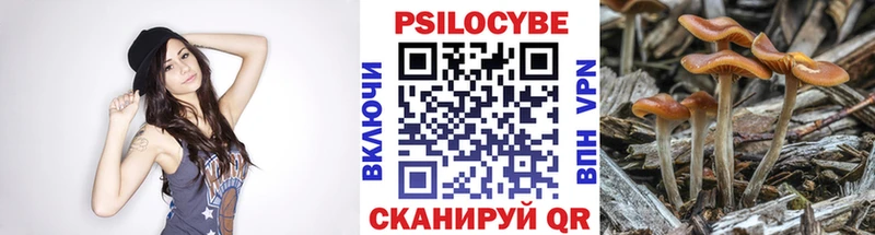 купить  цена  Петров Вал  Псилоцибиновые грибы мицелий 